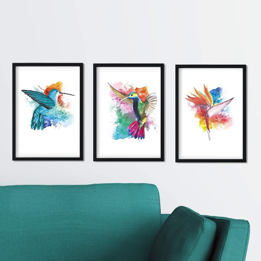 nacnic Pack de 3 láminas Acuarela de Pájaros