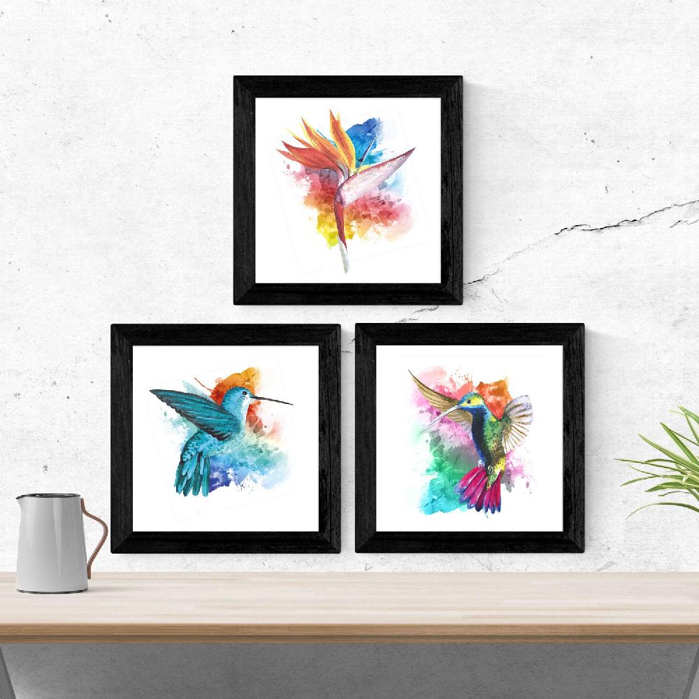 Nacnic Pack De 3 Láminas De COLIBRIES