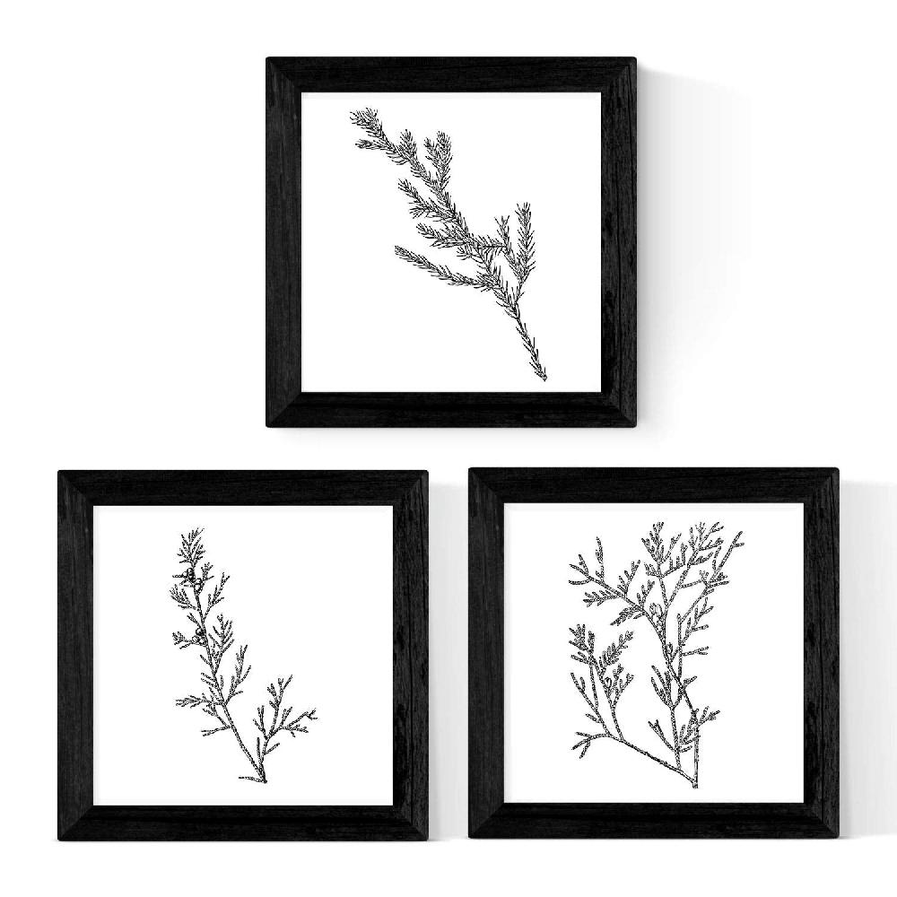 nacnic Pack de 3 láminas de Ramas DE ARBOLES