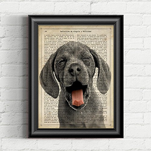 Nacnic Pack De Láminas Acuarela Animales Burlones