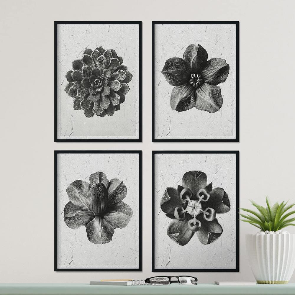 Nacnic Pack De Láminas De Flores Grises