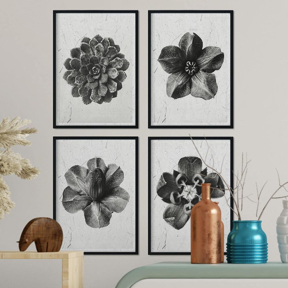 Nacnic Pack De Láminas De Flores Grises