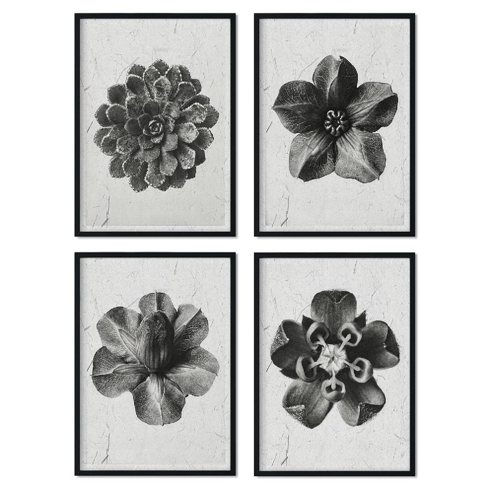 nacnic Pack de Láminas de Flores Grises