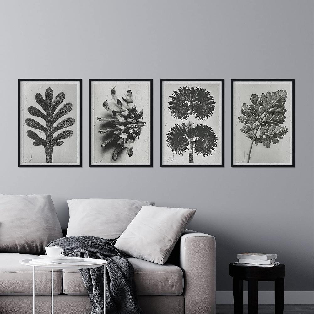 Nacnic Pack De Láminas De Flores Y Plantas Grises