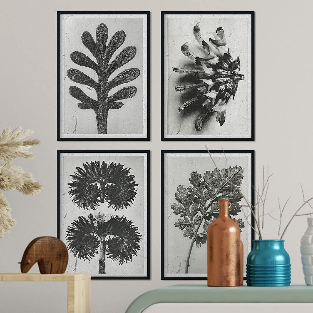 Nacnic Pack De Láminas De Flores Y Plantas Grises