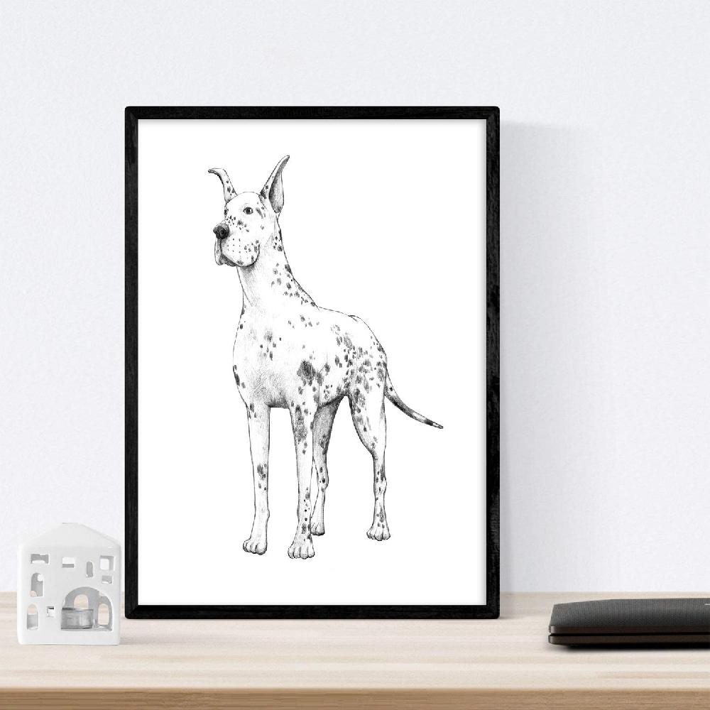 Nacnic Pack De Láminas De Perros De Raza