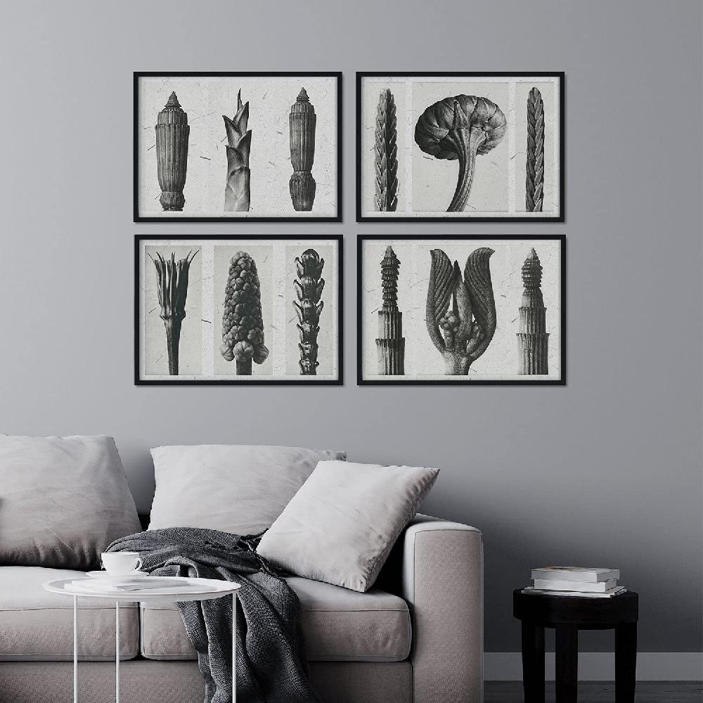 Nacnic Pack De Láminas Helechos En Tonos Grises