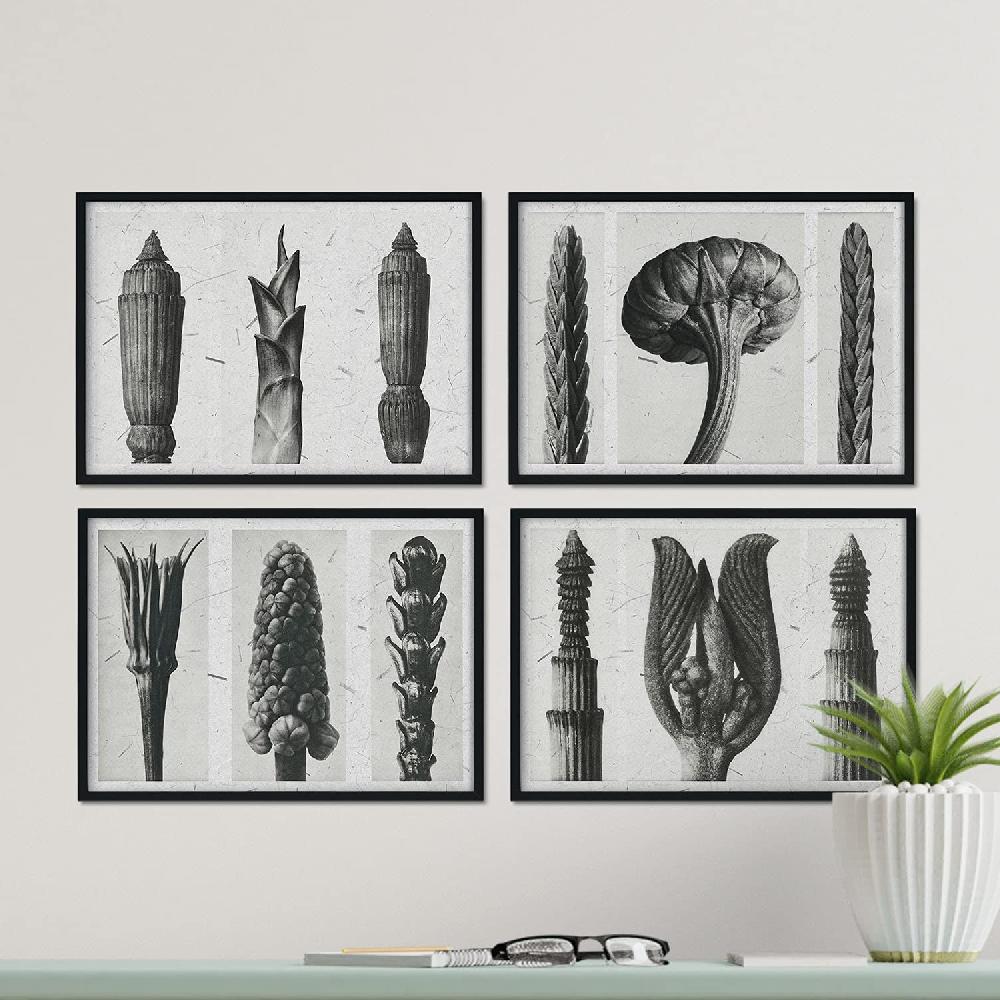 Nacnic Pack De Láminas Helechos En Tonos Grises