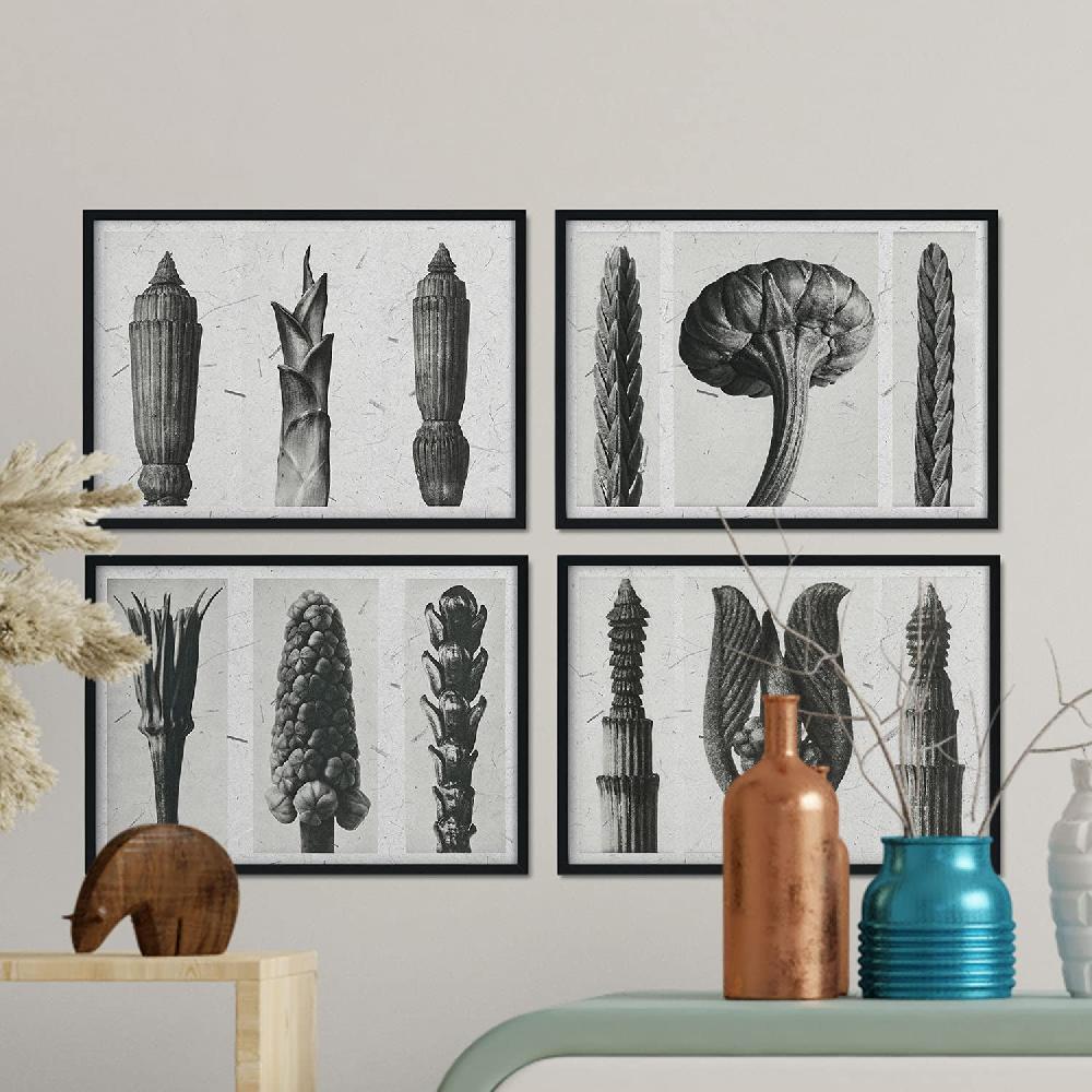 Nacnic Pack De Láminas Helechos En Tonos Grises