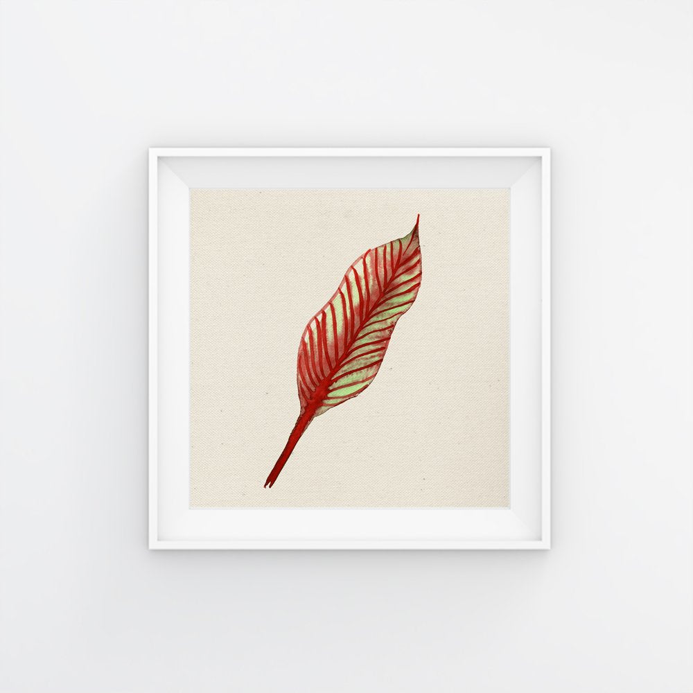 Nacnic Pack De Láminas Hojas Rojas De Alta Calidad