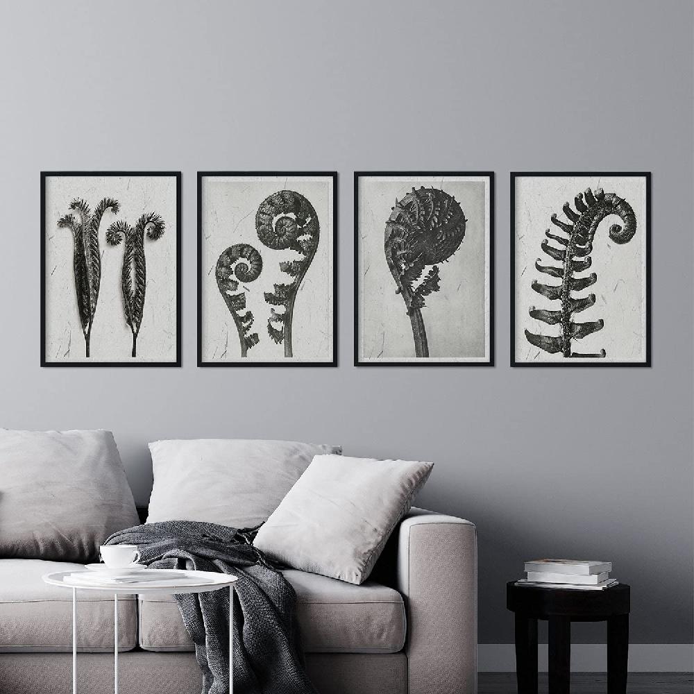 Nacnic Pack Helechos En Tonos Grises