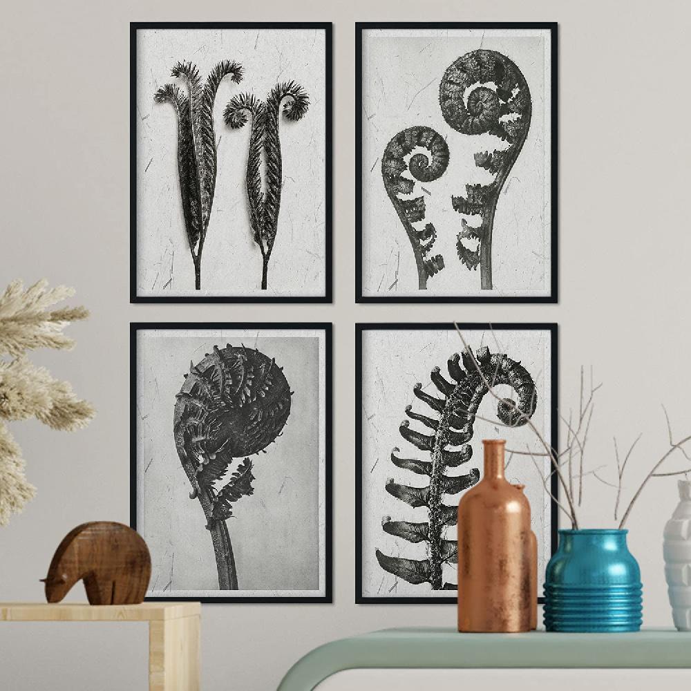 Nacnic Pack Helechos En Tonos Grises