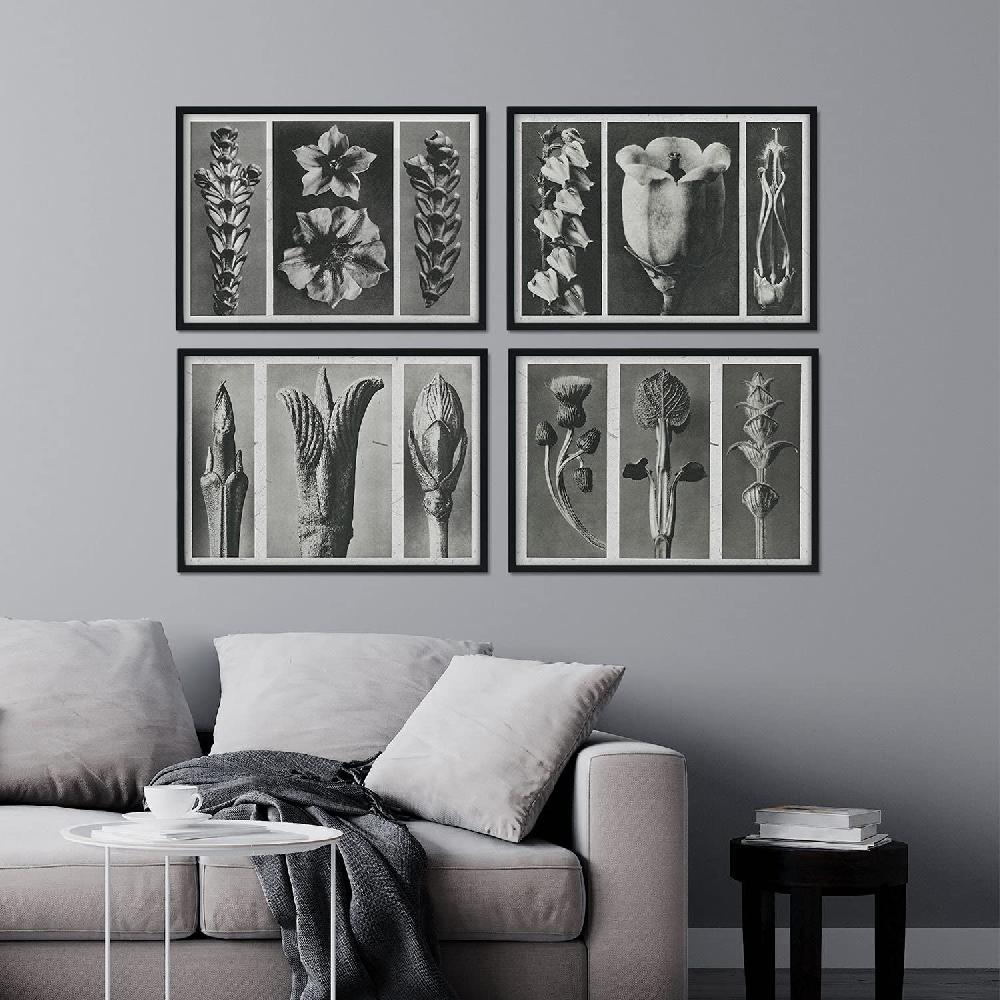 Nacnic Pack Láminas Flores Y Plantas Grises