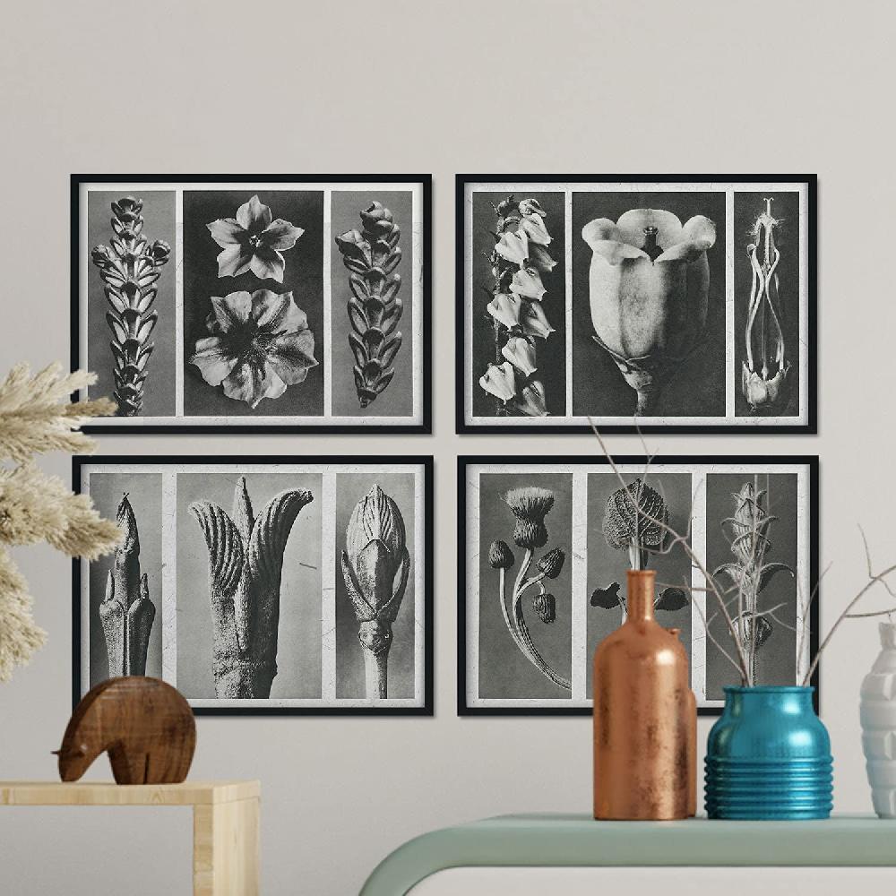 Nacnic Pack Láminas Flores Y Plantas Grises