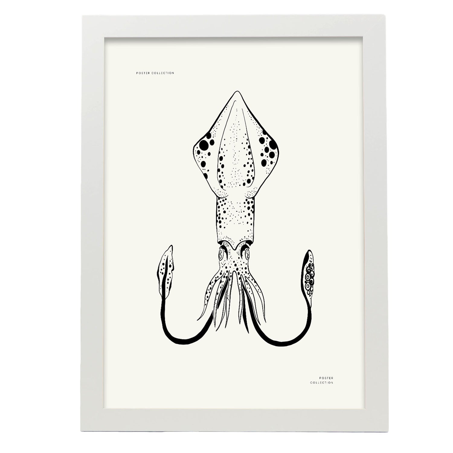 Nacnic Póster De Calamar Gigante