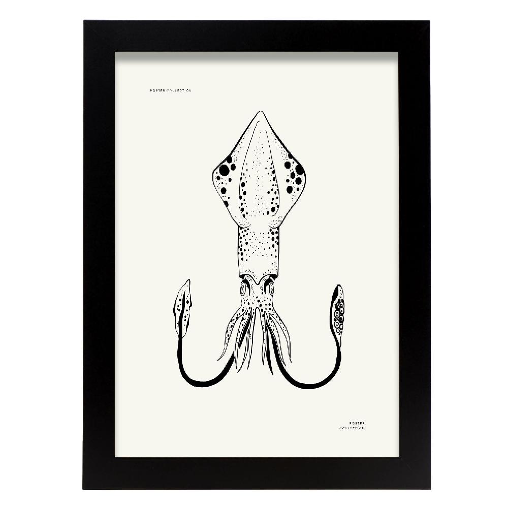 nacnic Póster de Calamar Gigante
