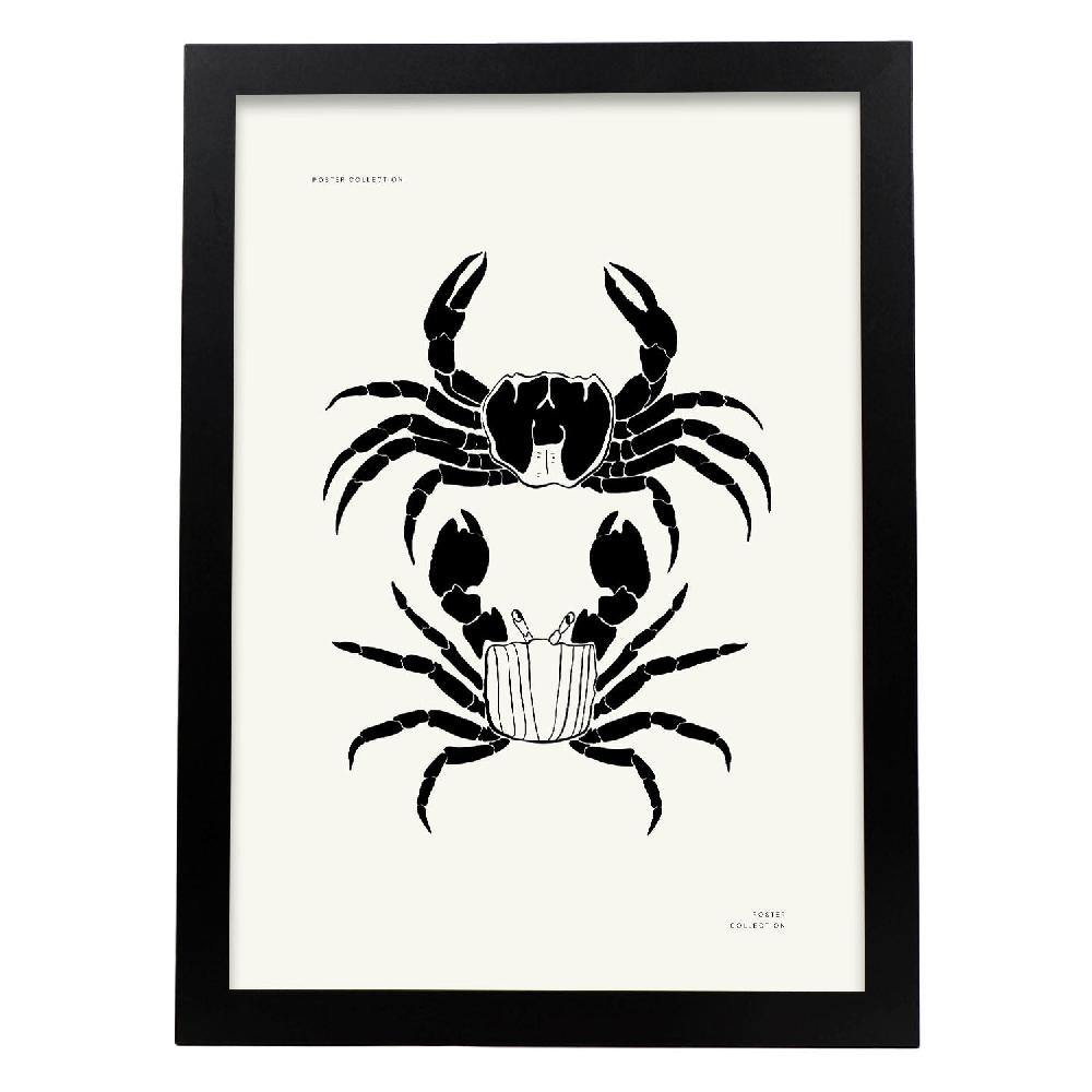 Nacnic Póster De Crab