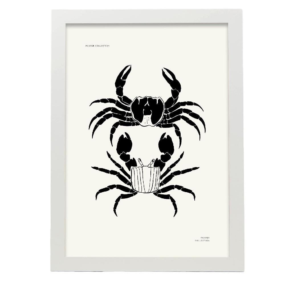 Nacnic Póster De Crab