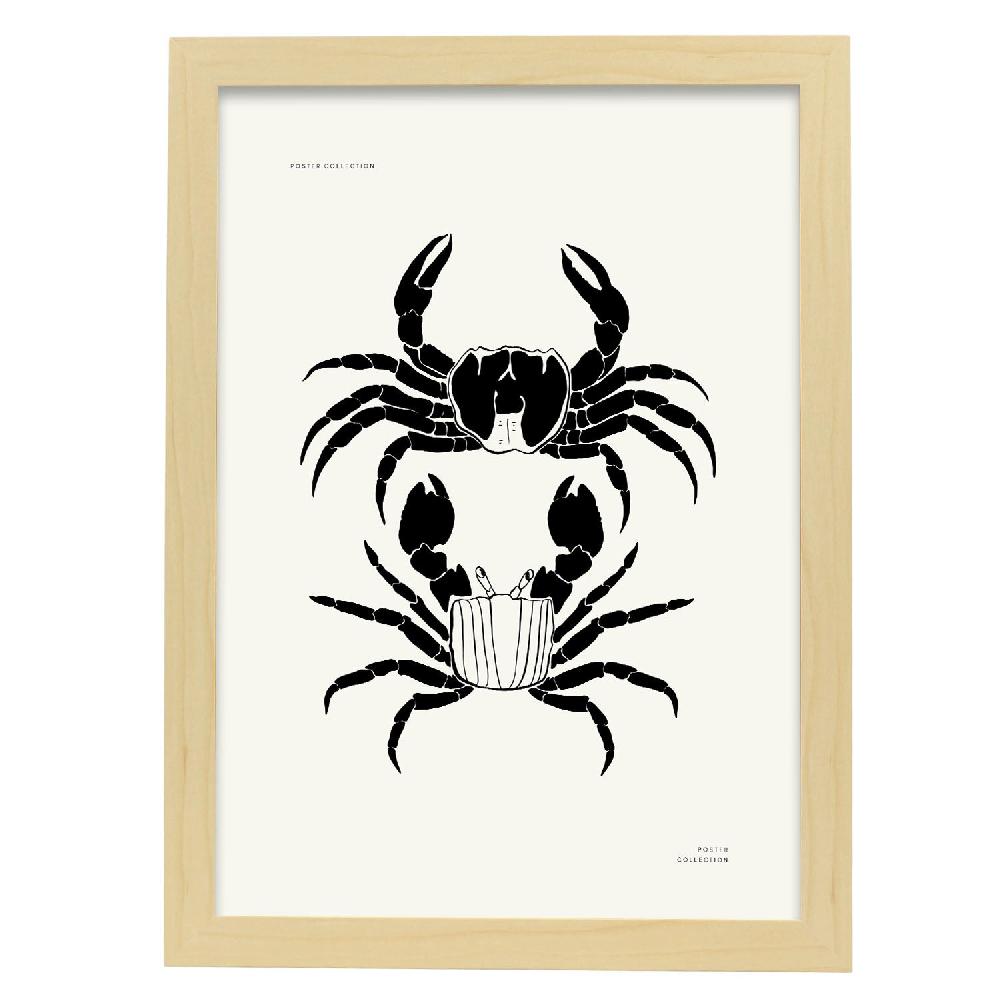 Nacnic Póster De Crab