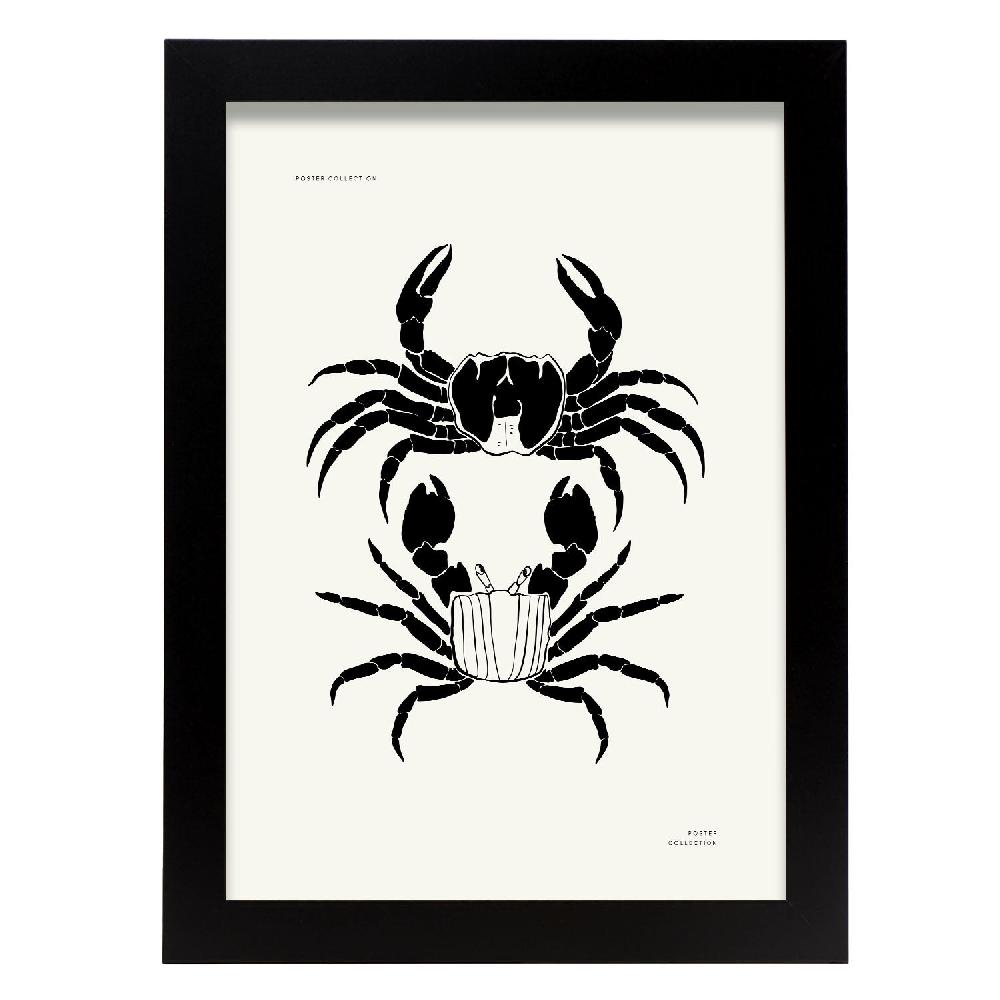 nacnic Póster de Crab
