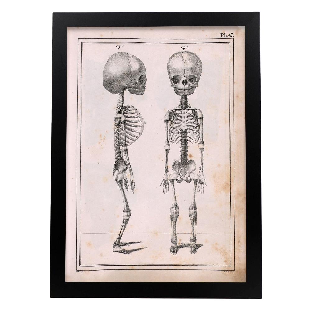 Nacnic Póster De Paillou: Esqueleto Fetal