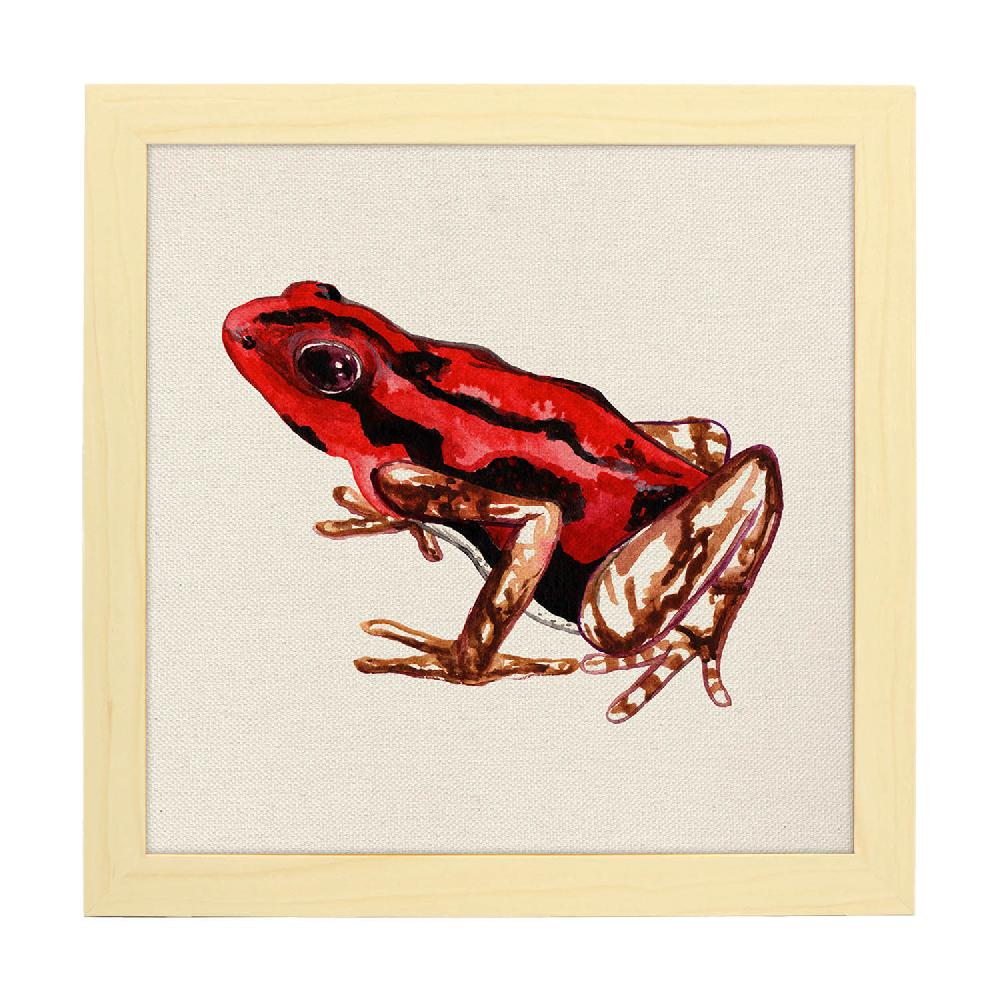 Nacnic Póster De Ranas Y Tortugas Soy De Fresa