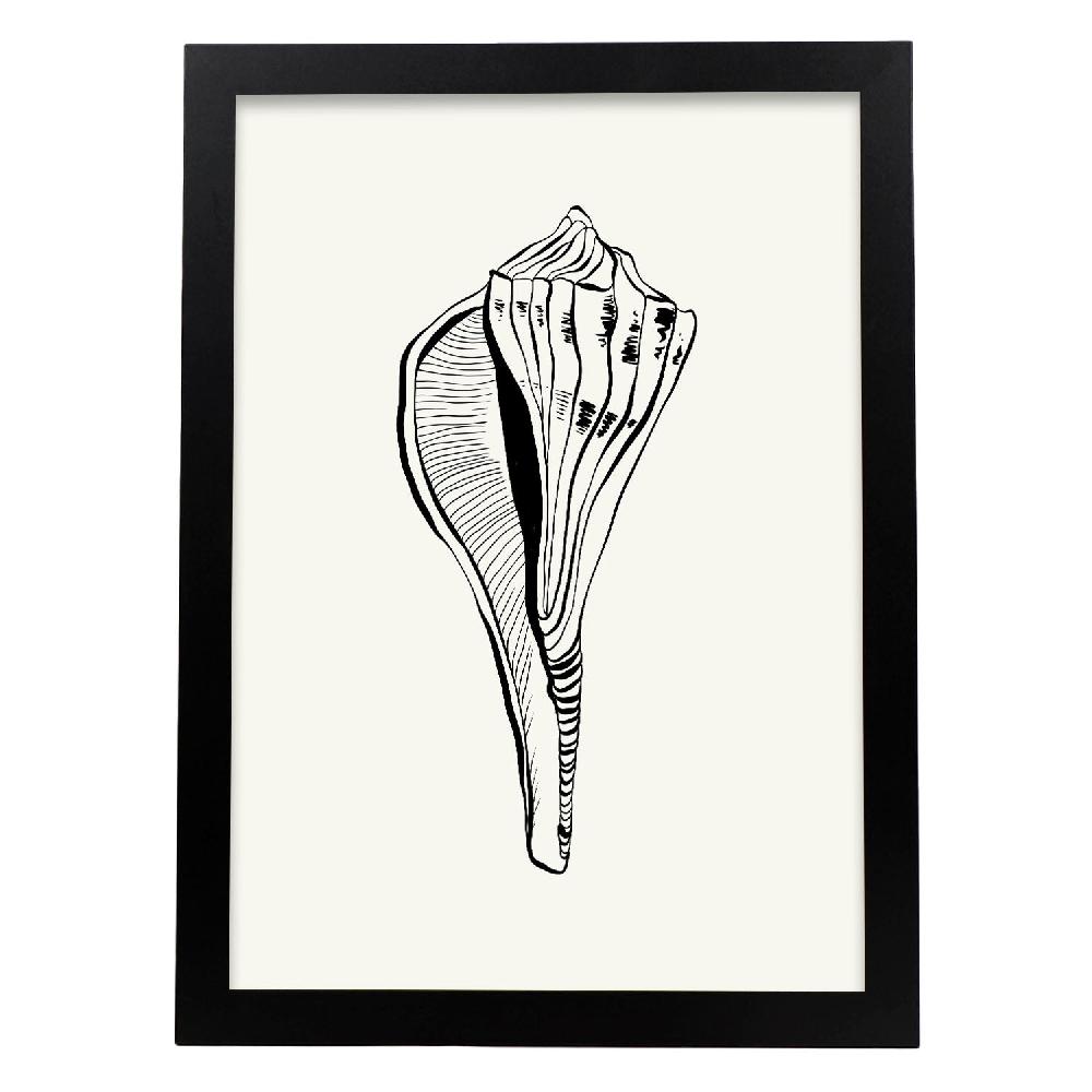 Nacnic Póster De Stripped Fox Conch