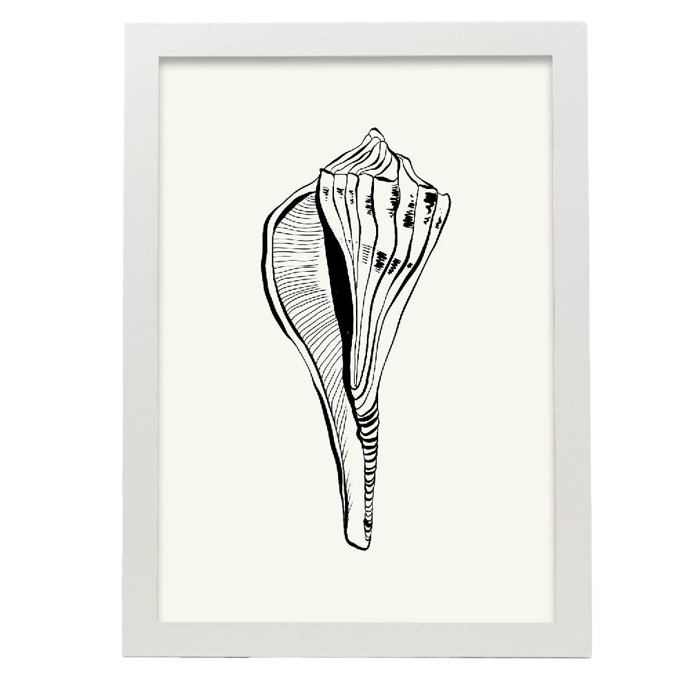 Nacnic Póster De Stripped Fox Conch