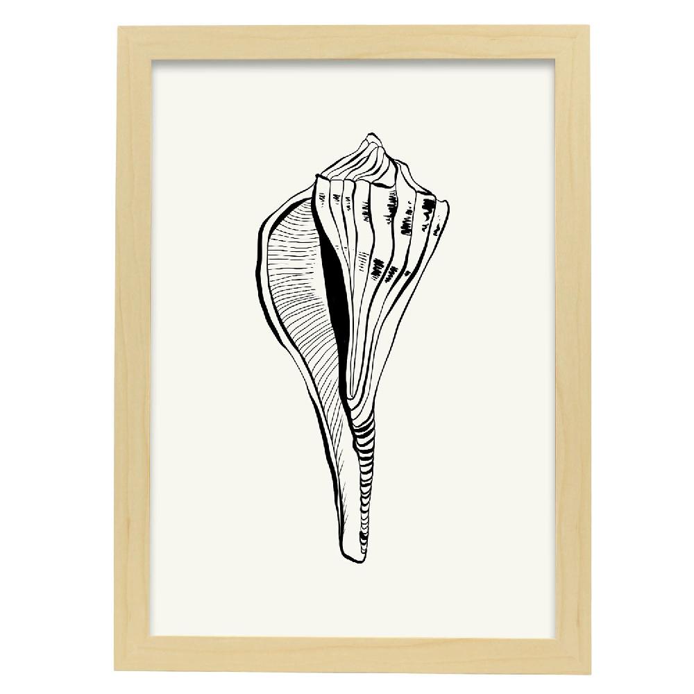 Nacnic Póster De Stripped Fox Conch