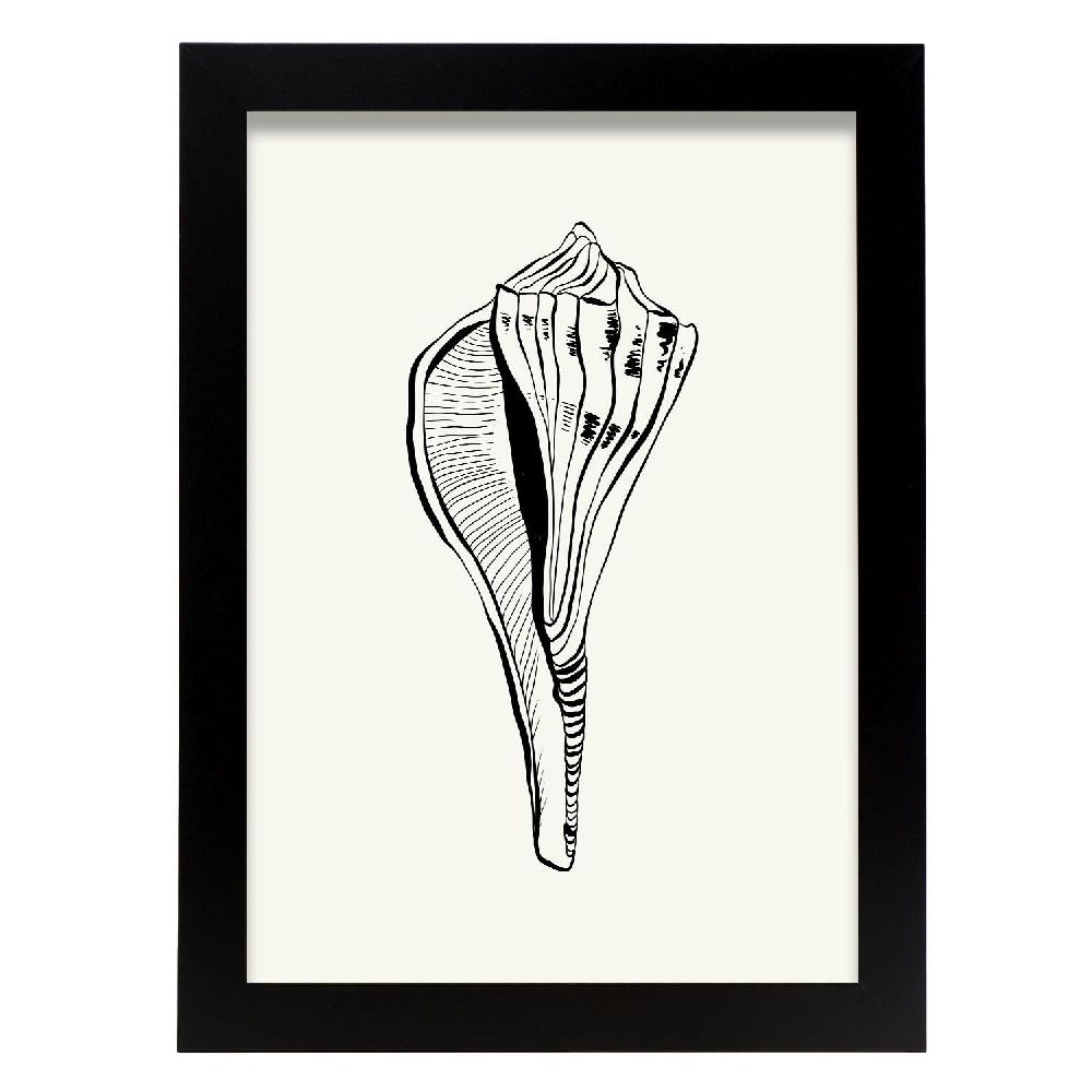 nacnic Póster de Stripped Fox conch