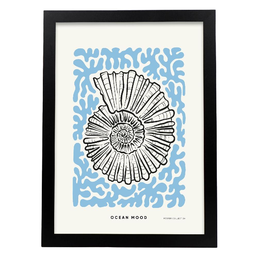 Nacnic Póster De Topview Florida Seashell