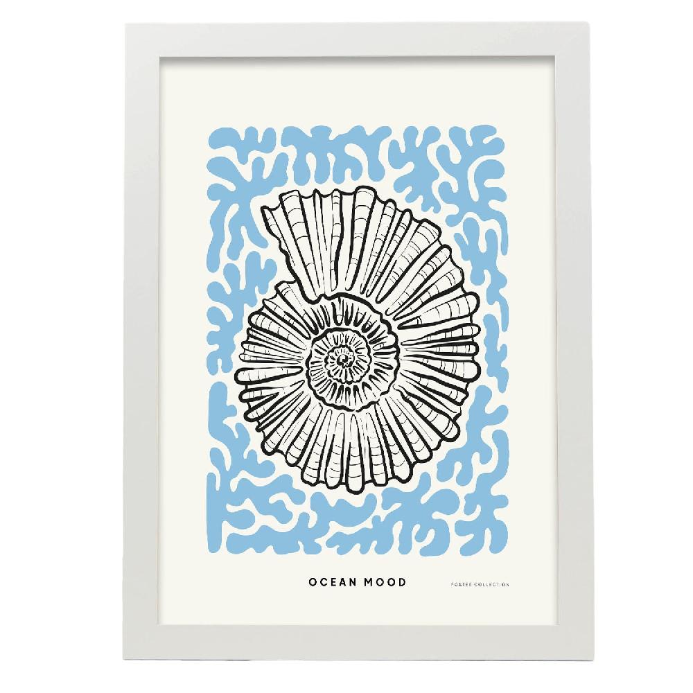 Nacnic Póster De Topview Florida Seashell