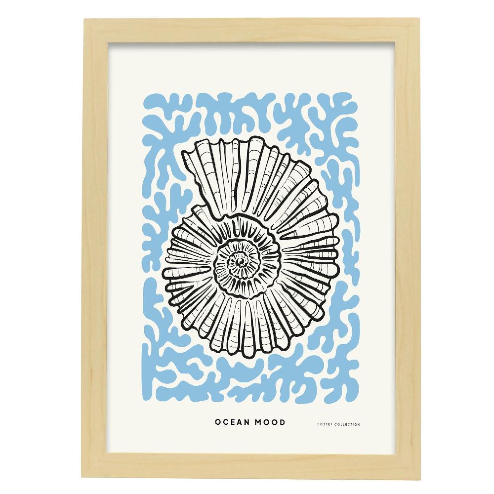 Nacnic Póster De Topview Florida Seashell