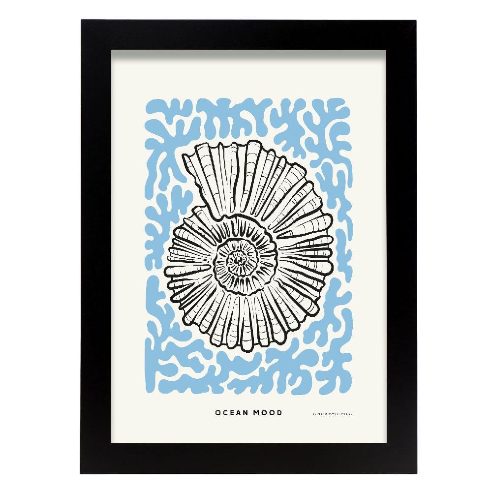 nacnic Póster de Topview Florida seashell