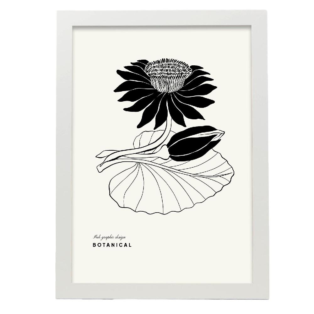 Nacnic Póster De Water Lily