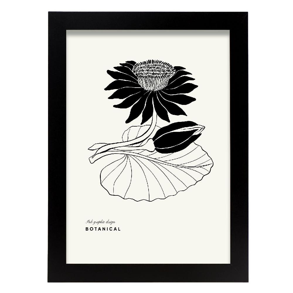 nacnic Póster de Water Lily