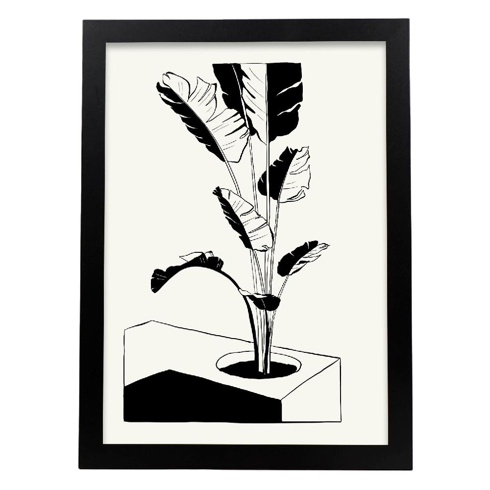 Nacnic Póster Del Árbol De Plátano
