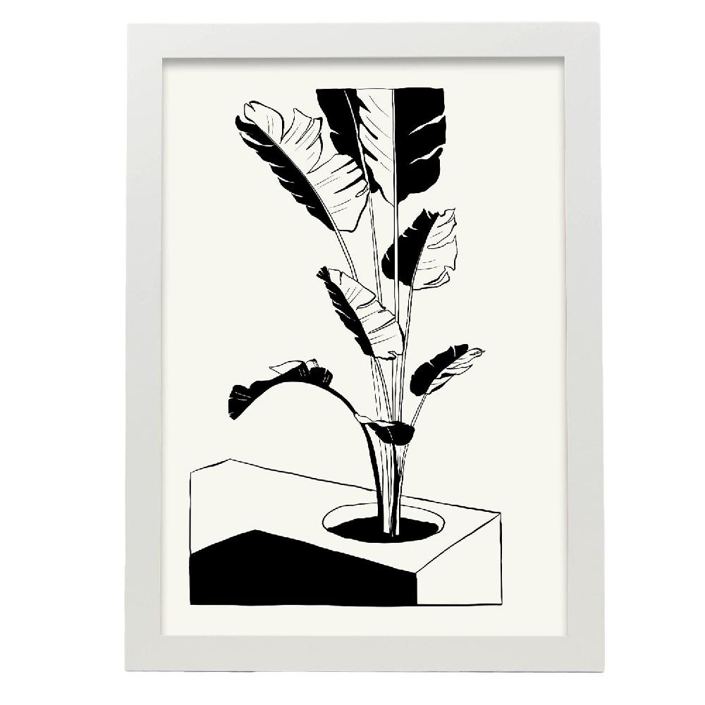 Nacnic Póster Del Árbol De Plátano