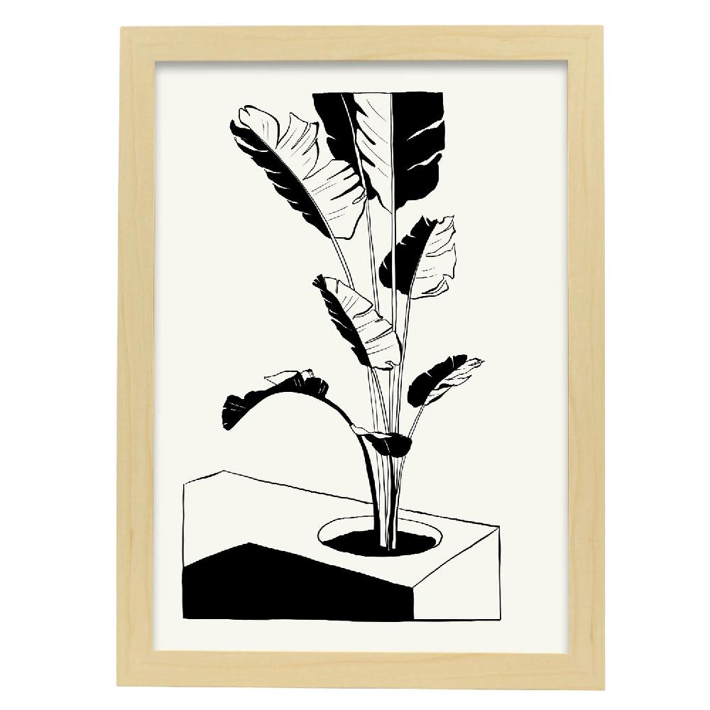 Nacnic Póster Del Árbol De Plátano