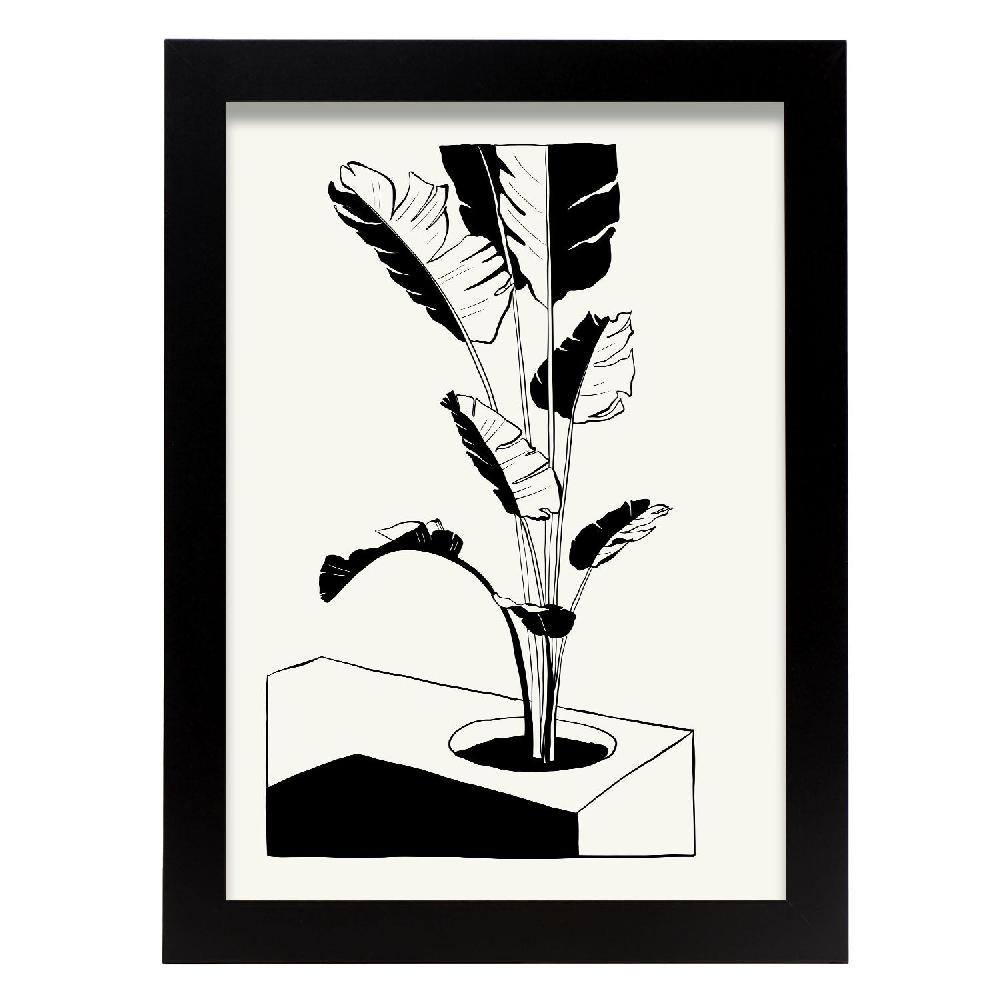 nacnic Póster del Árbol de Plátano