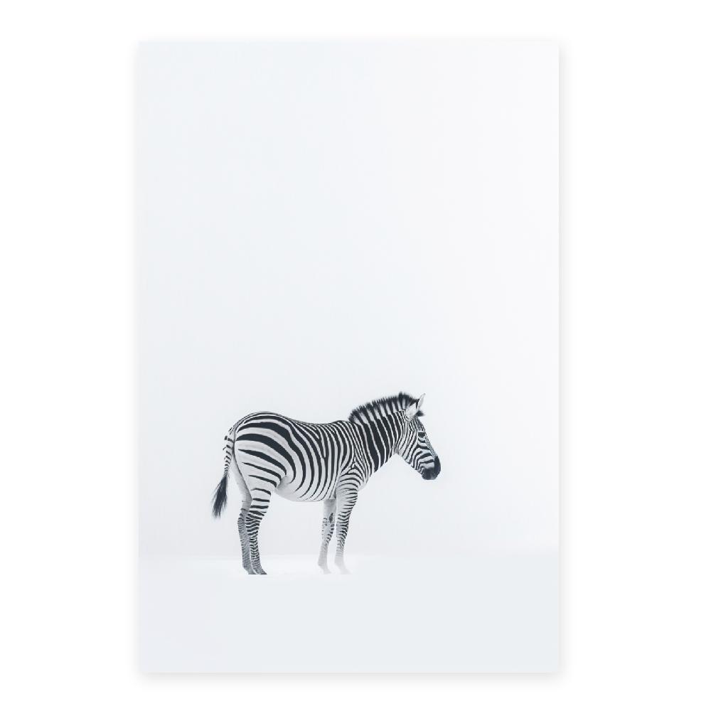 Nacnic Póster Minimalista De Cebra Japonesa