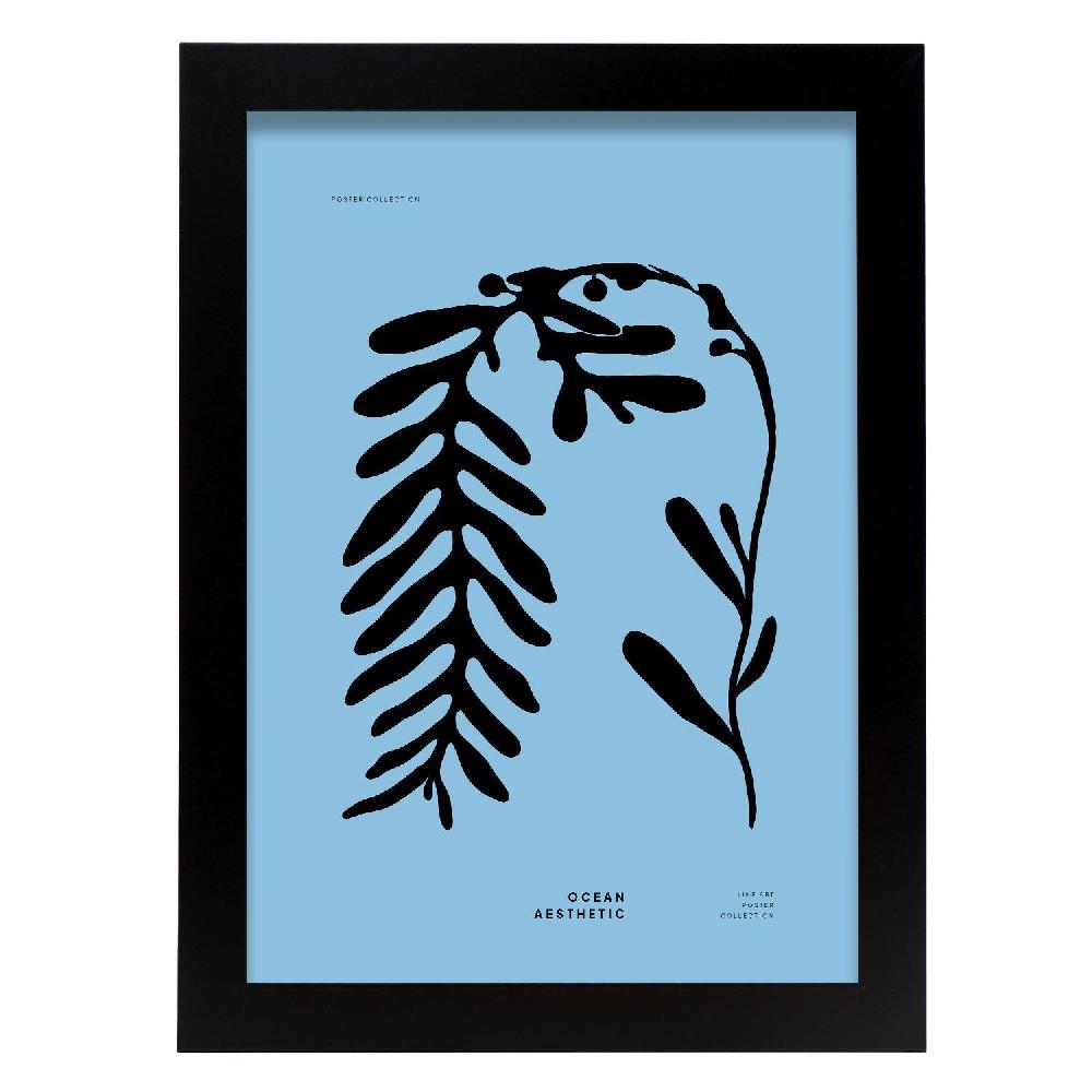 nacnic Póster Phyllophora Mundo Marino