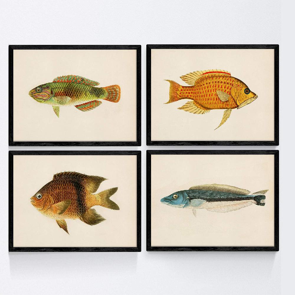 nacnic Set de 4 láminas de peces coloridos vintage