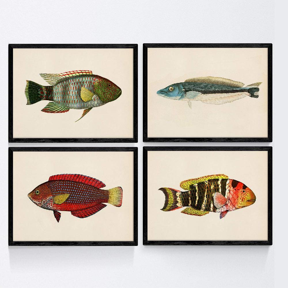 nacnic Set de 4 Láminas de Peces Coloridos Vintage