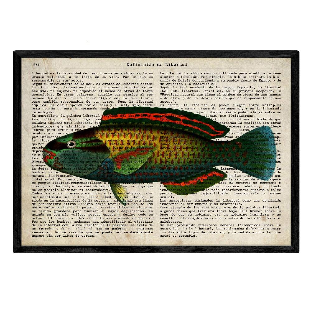 Nacnic Set De 4 Láminas De Peces Con Definiciones