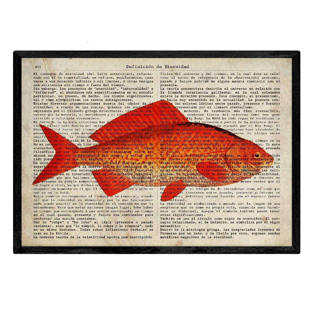 Nacnic Set De 4 Láminas De Peces Con Definiciones