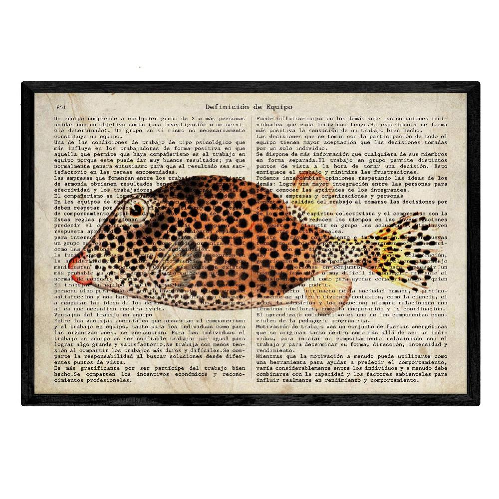 Nacnic Set De 4 Láminas De Peces Con Definiciones