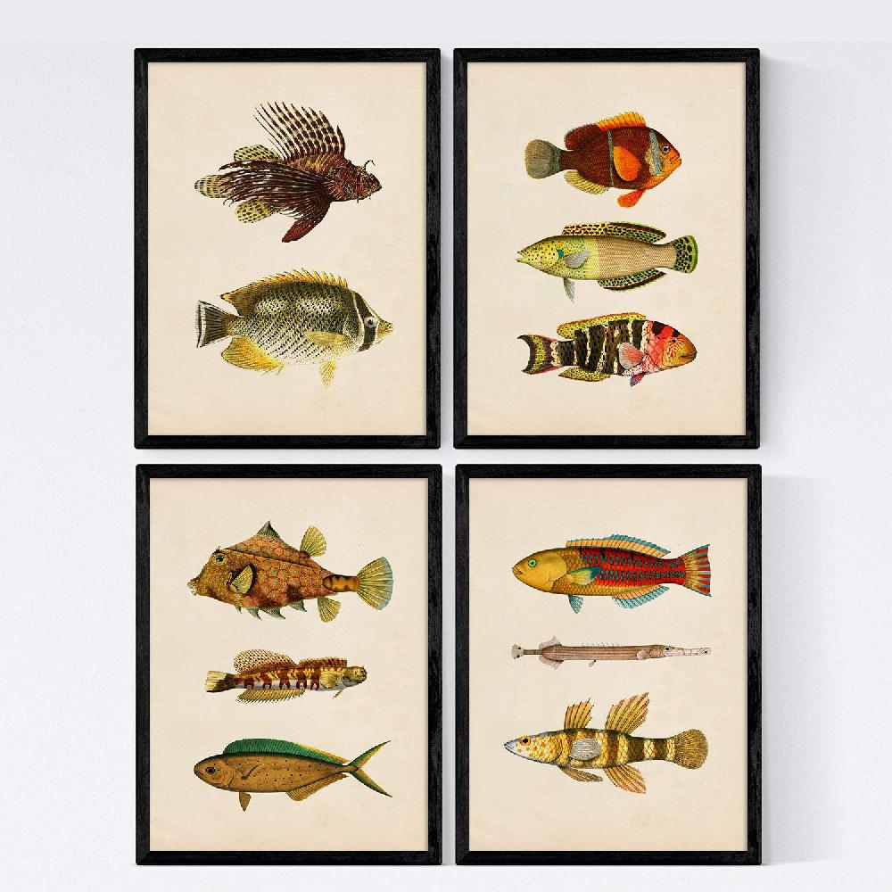 nacnic Set de 4 láminas vintage de peces coloridos