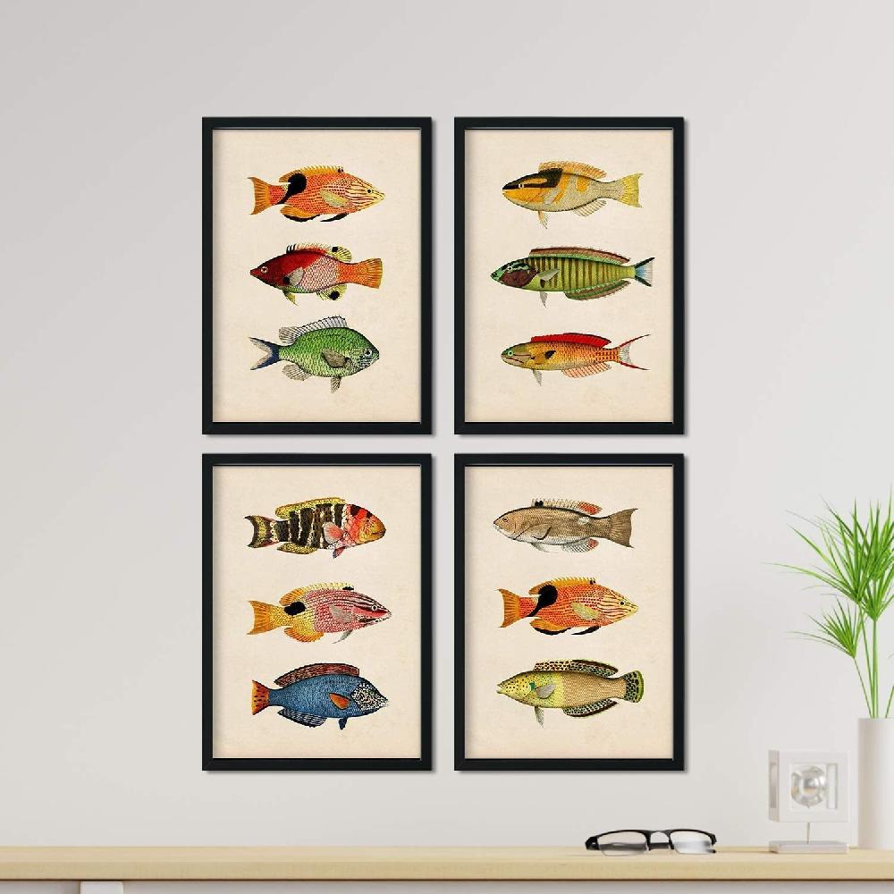 Nacnic Set De 4 Láminas Vintage De Peces Coloridos