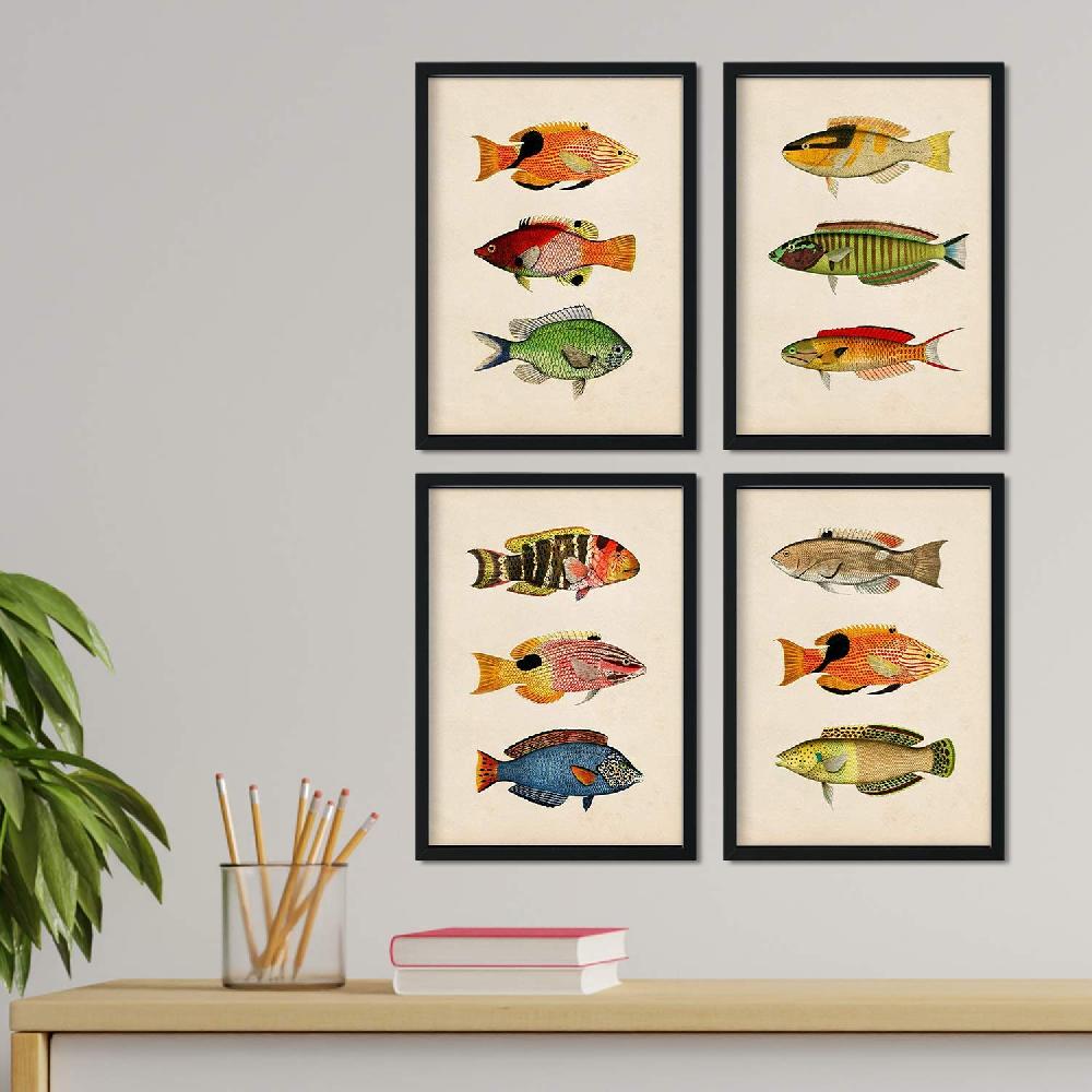 nacnic Set de 4 Láminas Vintage de Peces Coloridos